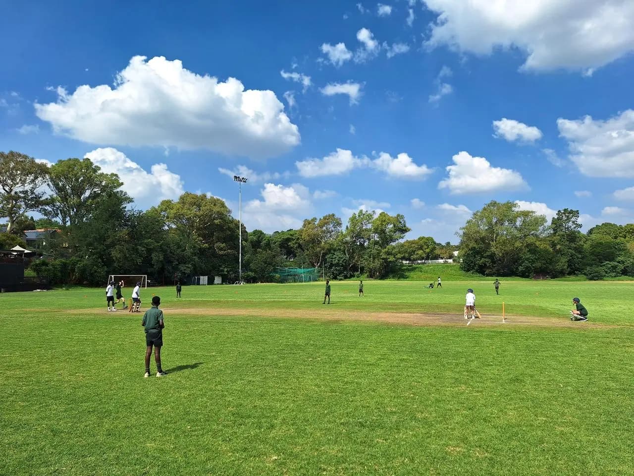 Cricket